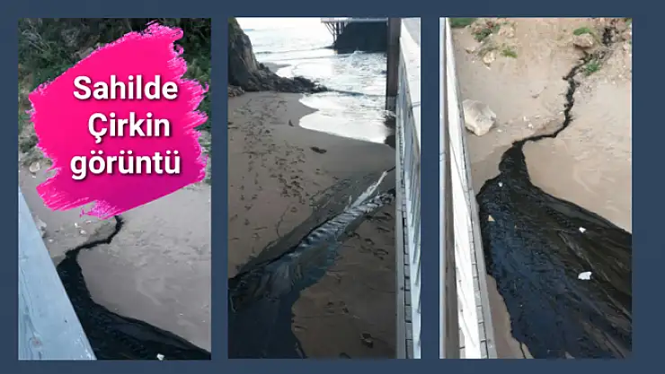 Sahilde şok görüntü