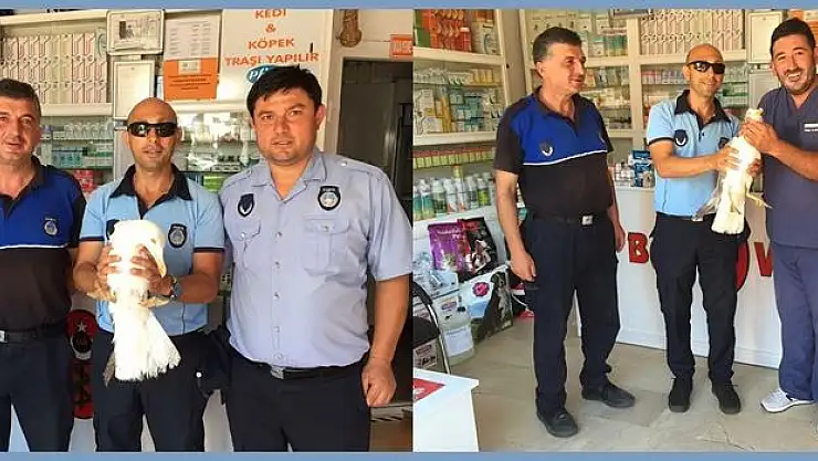 Sahilde Yaralı Halde Bulundu 