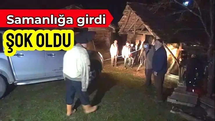 Samanlığa girince olan oldu