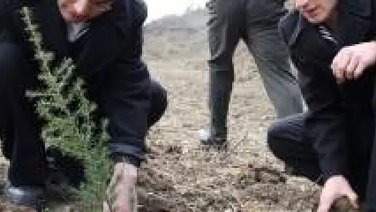 Şehit Ve Gaziler İçin Fidan Dikildi
