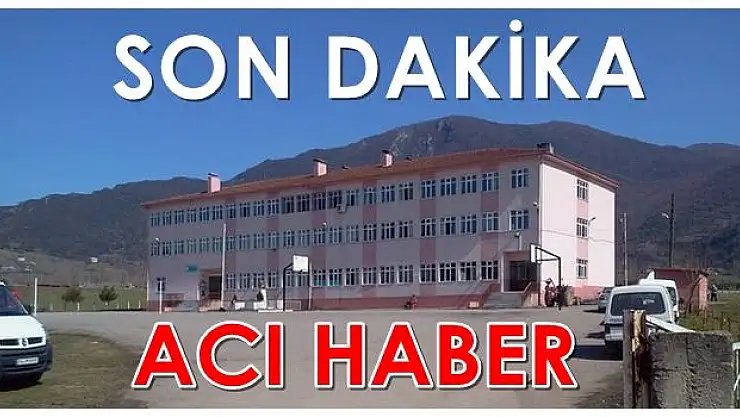 Servis minibüsü öğrenciye çarptı