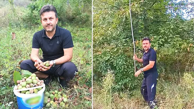 Şimdi cövüz dokuma zamanı
