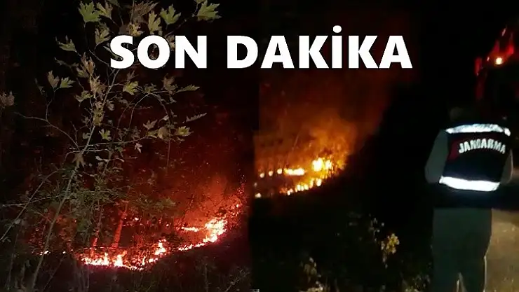Son dakika, yangın çıktı