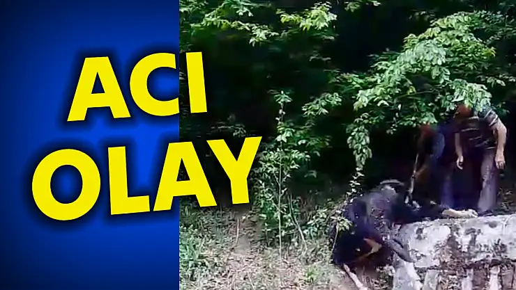 Su deposuna düştü, can verdi