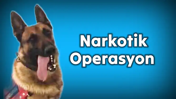 Şüpheli şahıs yakalandı