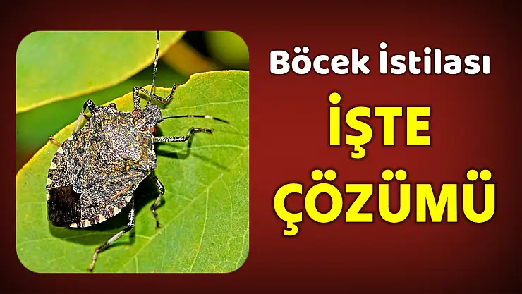Tarım müdürlüğünden kokarca açıklaması