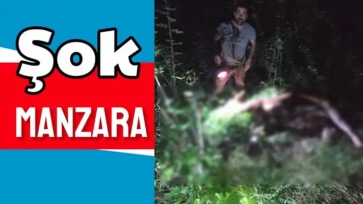 Tarlada parçalanmış halde bulundu
