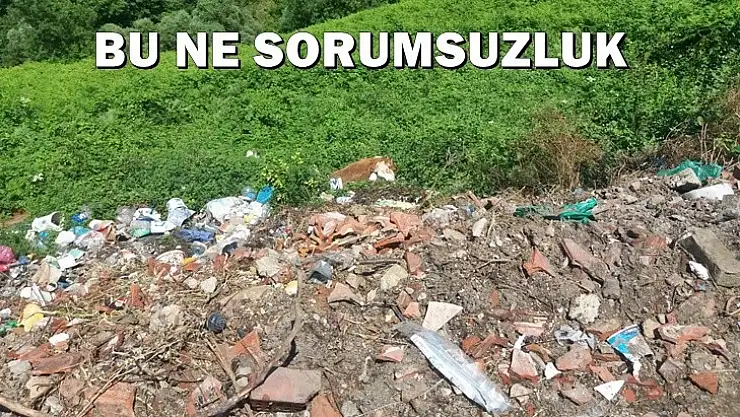 Tepeden aşağı atıldı mı?