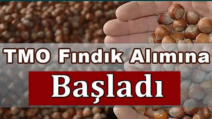 TMO Bartın'a fındık alım merkezi açtı