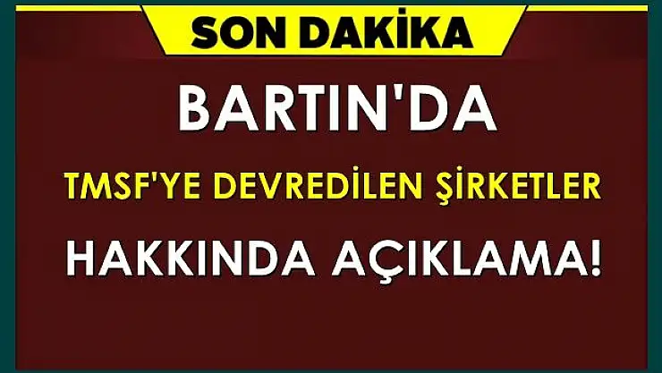 TMSF'ye devredilen şirketler ne olacak?