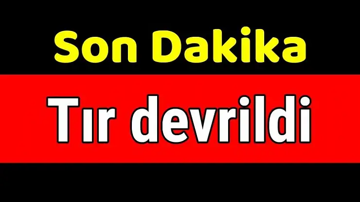 Tomruk yüklü tır devrildi