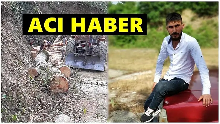 Üzerine ağaç devrilen gençten acı haber