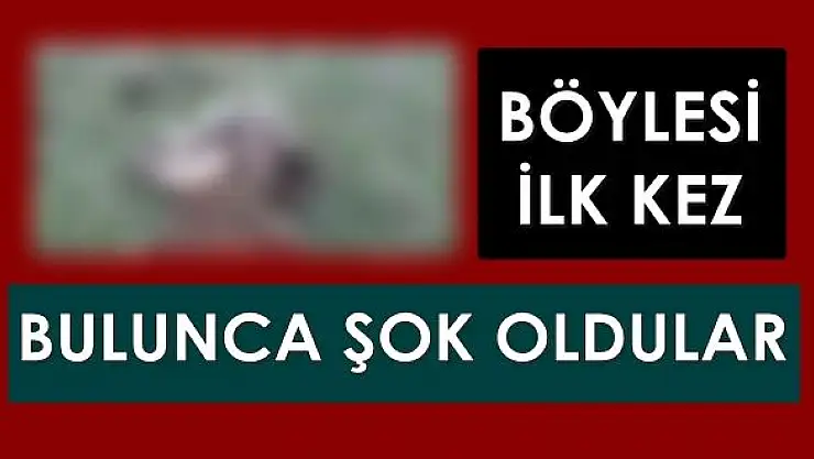 Vahşet böyle görüntülendi