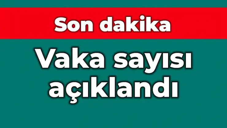 Vaka sayısında son durum