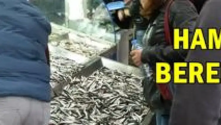 Vatandaş 'hamsi'ye akın etti