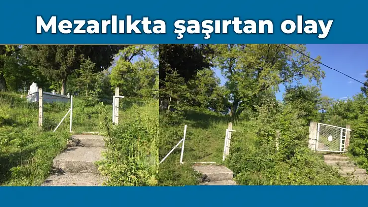 Vatandaşları şaşırtan görüntü