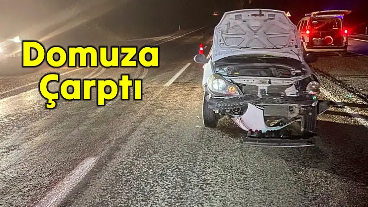 Yabani hayvana çarptı, 3 yaralı