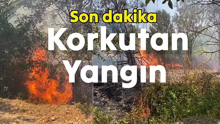 Yangın çıktı, yürekler ağza geldi
