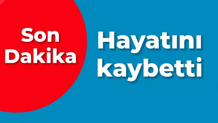 Yaşam mücadelesini kaybetti