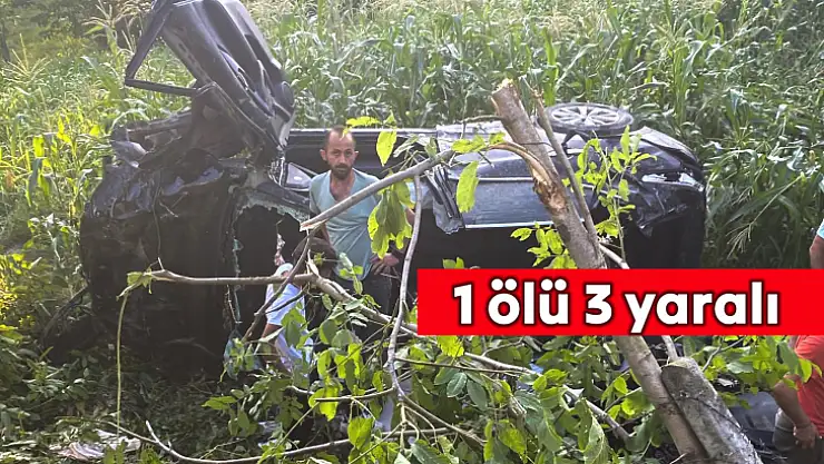 Yayaya çarptı, şarampole yuvarlandı