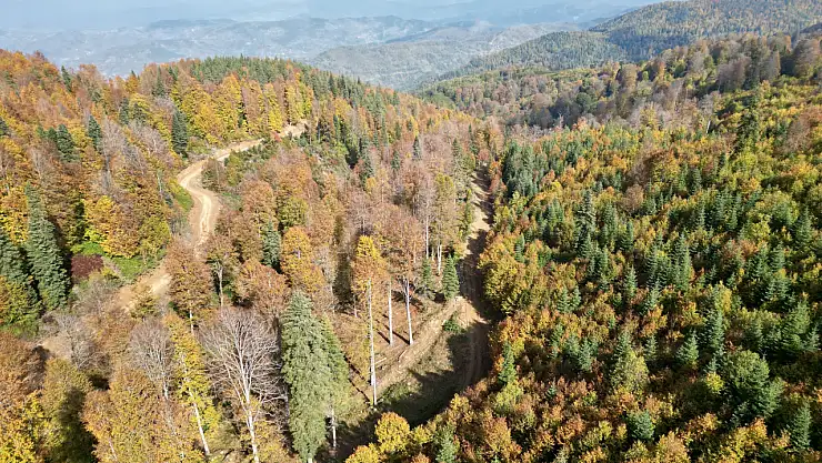 Yaylalarda sonbahar güzelliği