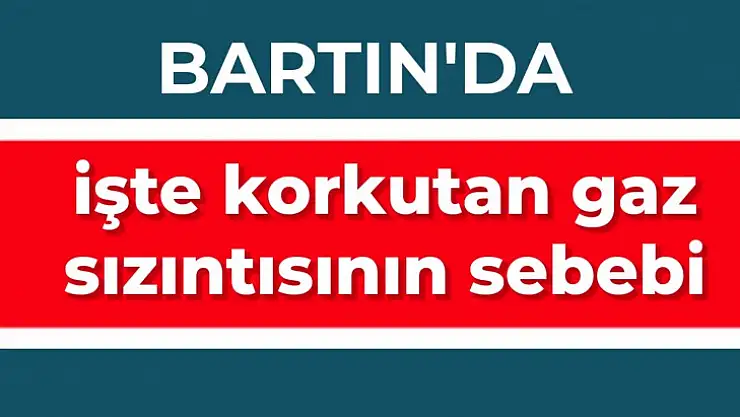Yedi ayrı noktada gaz sızıntısı yaşandı