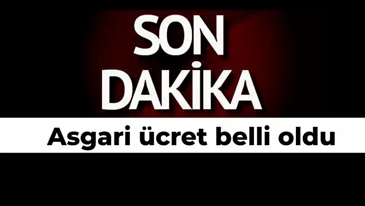 Yeni asgari ücret belirlendi