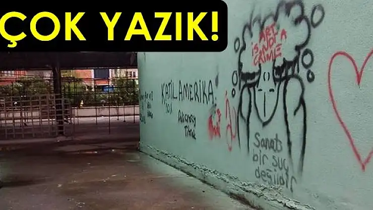 Yeni boyandı, ne hale getirdiler!