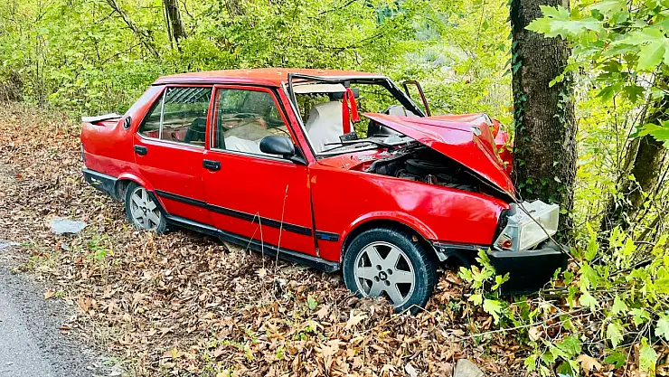 Yoldan çıkan otomobil ağaca çarptı