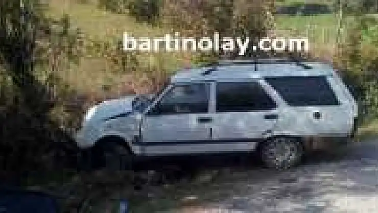 Yoldan Çıkan Otomobil Ağaca Çarptı:4 Yaralı