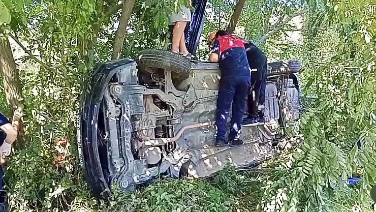 Yoldan çıktı, ağaca çarptı