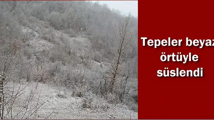 Yüksek kesimlerde kar yağışı