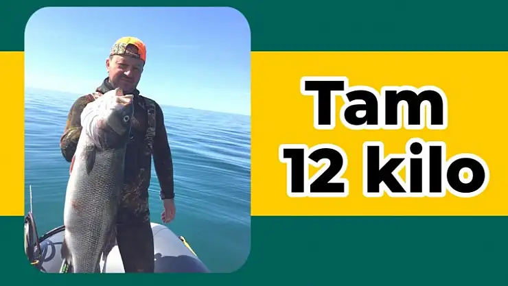 Zıpkınla 14 metre derinlikte avladı