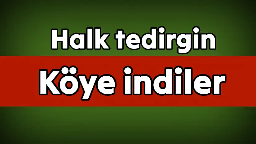 Amasra'da 3 Ayı Köye İndi!