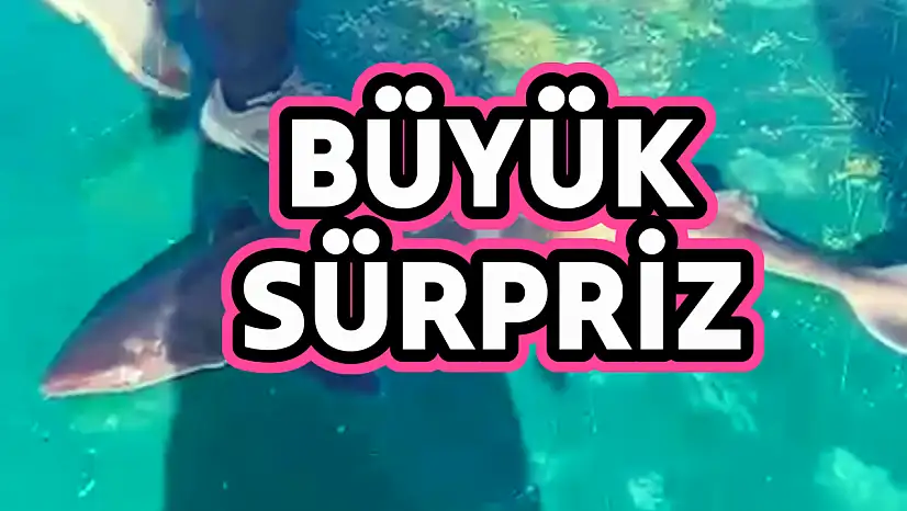 Bartın açıklarında şoke eden görüntü!