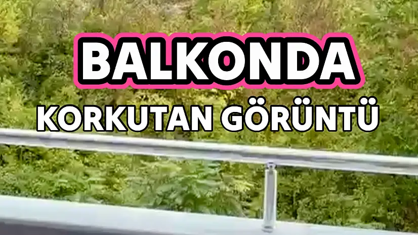 Bartın'da korkutan görüntü