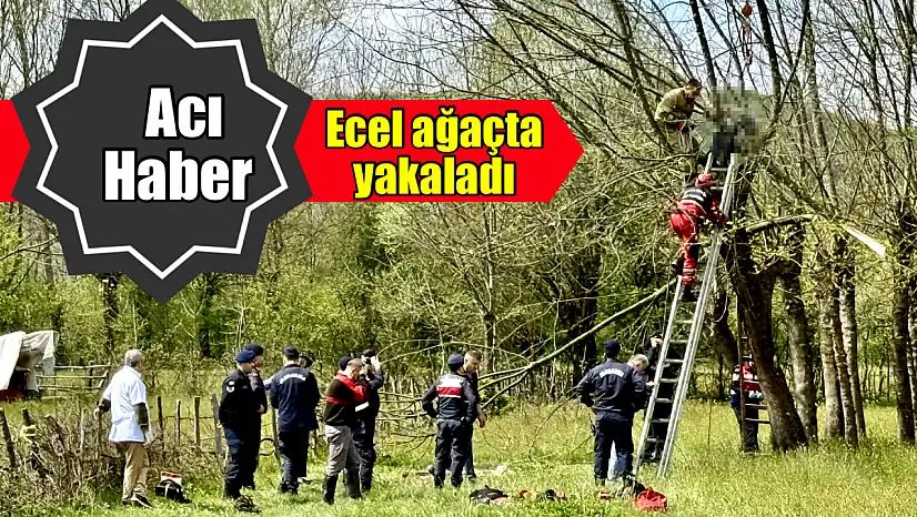 Budadığı ağaçta ölü bulundu