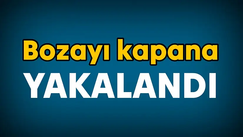 Ekipler seferber oldu