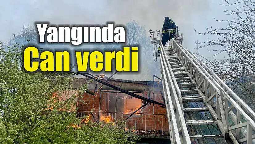 Feci Şekilde Can Verdi