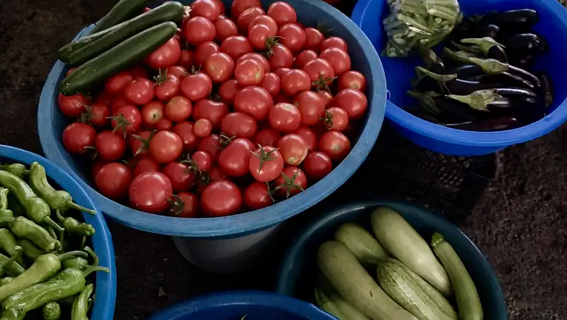 Fiyatlar aldı başını gitti