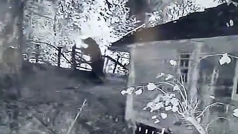 Gece kameraya yakalandı