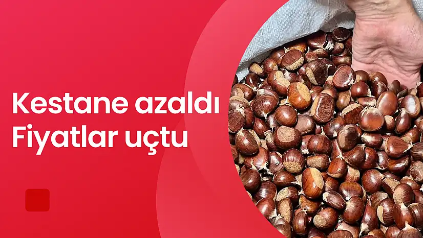 Kestane azaldı fiyatlar uçtu