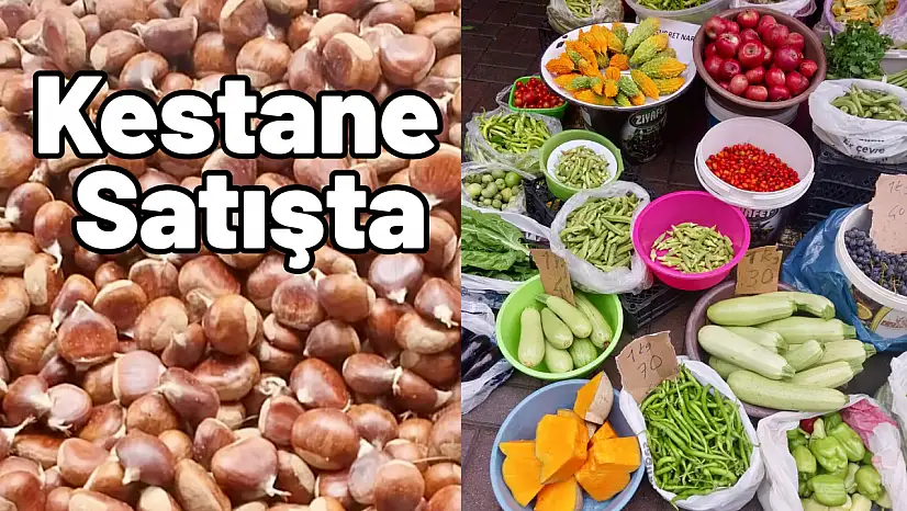 Kestane sezonu açıldı!