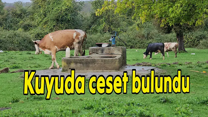 Komşu ilçede kan donduran olay