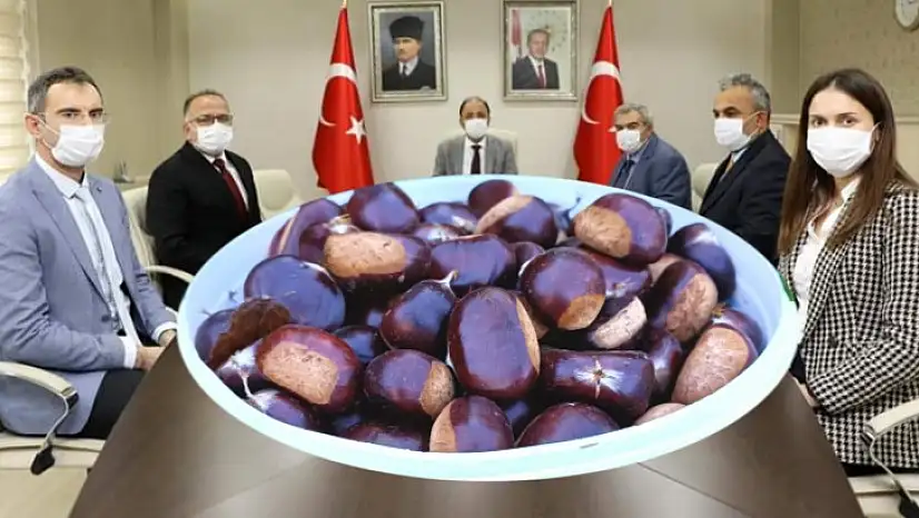 Kumluca'da Kestane Püresi ve Kreması Üretilecek