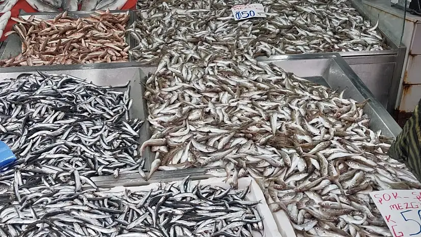 Mezgit vatandaşa yüzdü