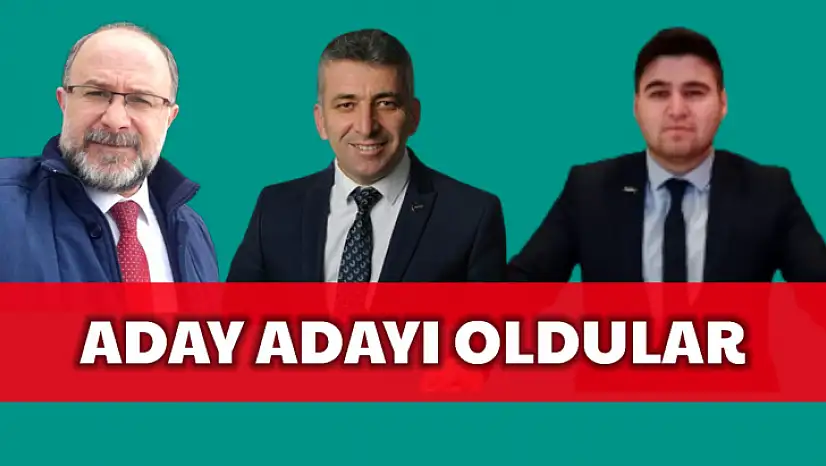 Milletvekili aday adayları