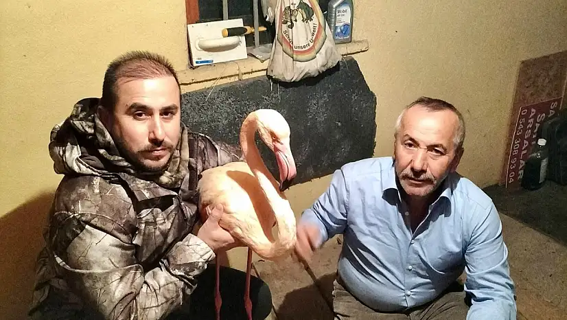 Mugada Sahilinde Bir İlk!