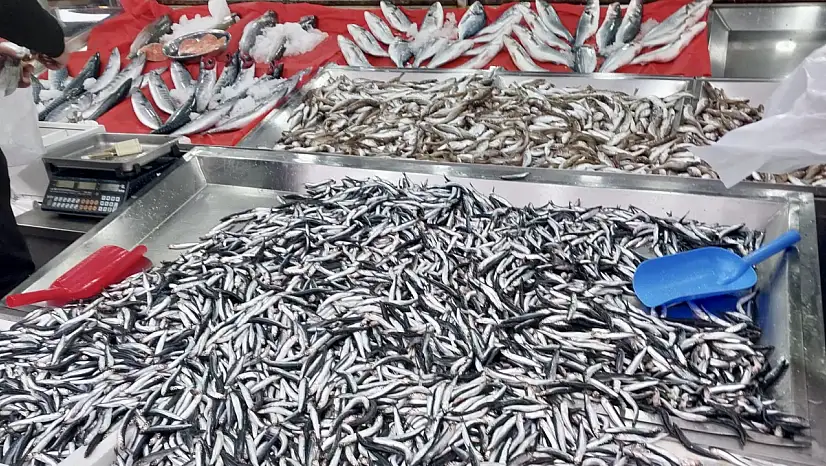 Palamut fiyatıyla fark attı