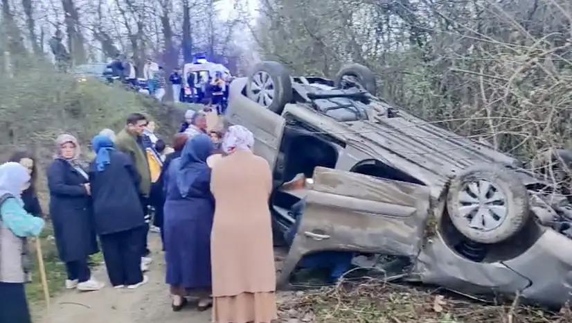 Ticari araç şarampole yuvarlandı